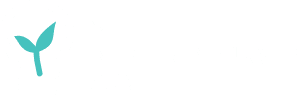 Y2 Entrepreneurship Labs